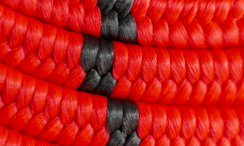 up close image of shock cord